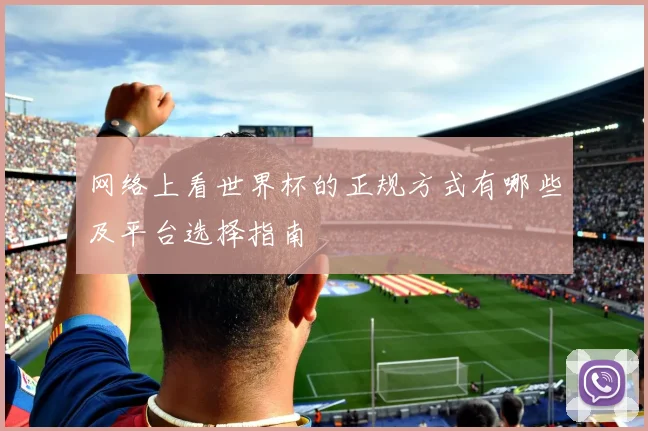 网络上看世界杯的正规方式有哪些及平台选择指南