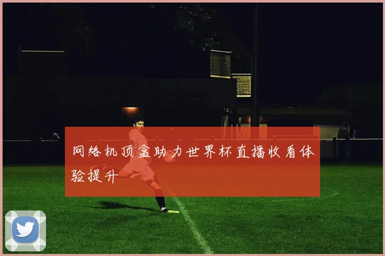 网络机顶盒助力世界杯直播收看体验提升