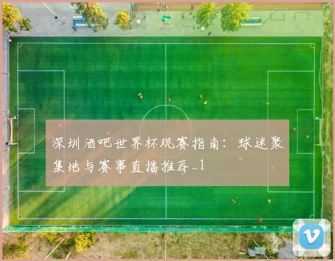 深圳酒吧世界杯观赛指南:球迷聚集地与赛事直播推荐_1