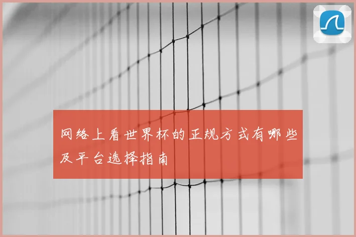 网络上看世界杯的正规方式有哪些及平台选择指南